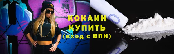 шишки Армянск