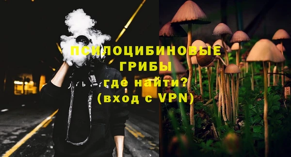 прущие грибы Алзамай