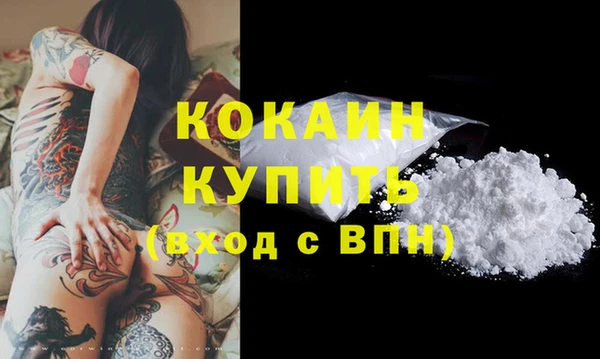 a pvp Новозыбков
